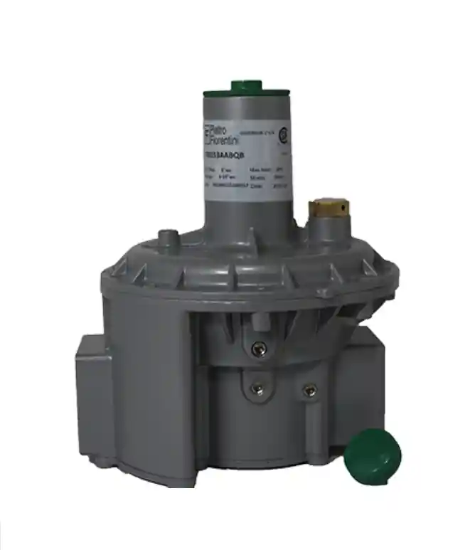 Sunbelt F31153-4BP Gas Regulator 1-1/4 Governor Model