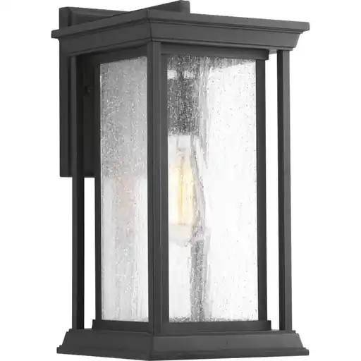 Progress P5610-31 Endicott Collection One-Light Medium Wall Lantern