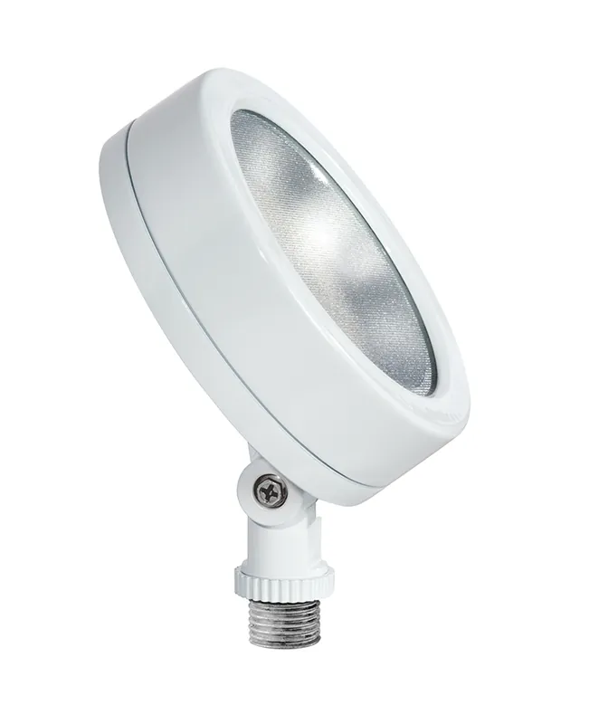 Rab Design Lighting LES13W LESLIEFLOOD 13W 120V 5K
