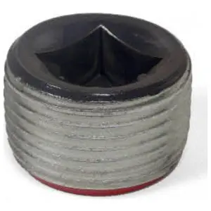 Robroy PRPLG6 2 in. Recessed Plug