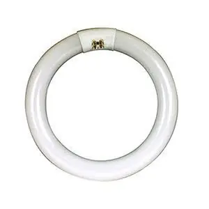 Circline FC8T9/CW Circline Fluorescent Lamp T9 G10q Base Garage/Basement 22W 4100K