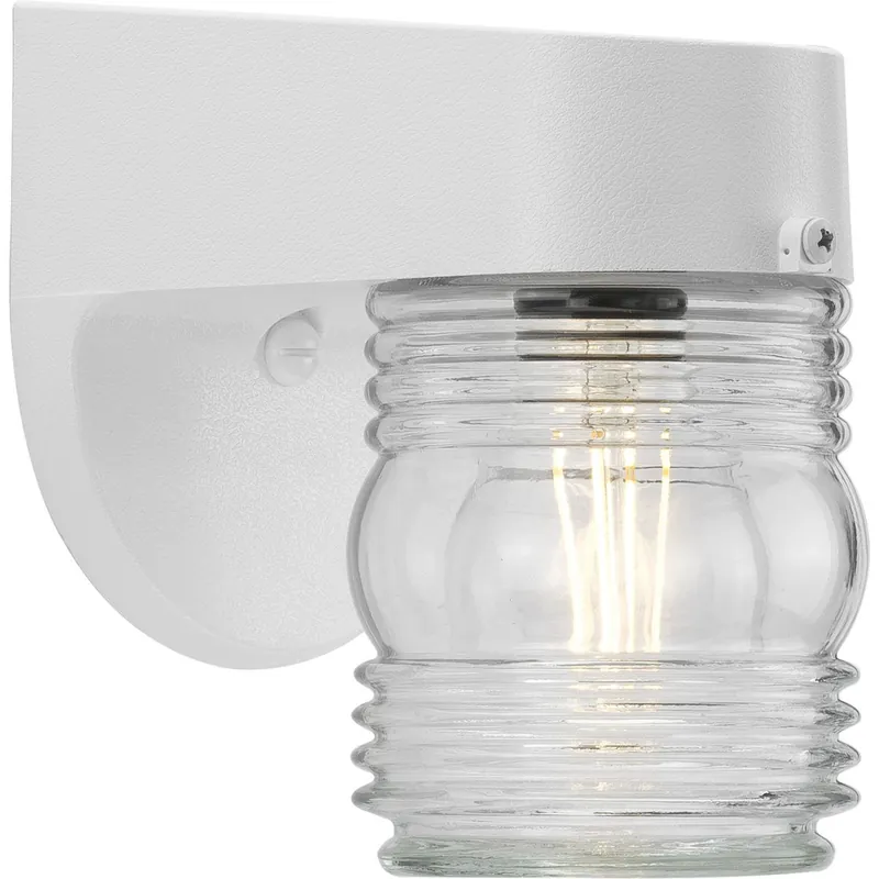 Progress P5612-30 Non-Metallic Incandescent One-Light Outdoor Wall Lantern
