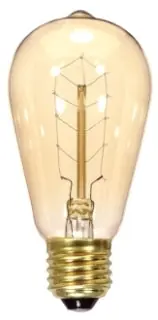 Satco S2414 40 Watt St19 Incandescent Clear