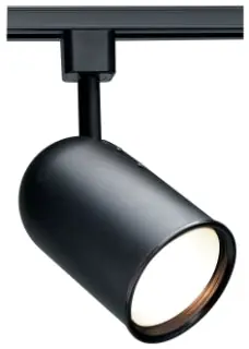 Satco TH211 1-Light - R30 - Track Head - Bullet Cylinder