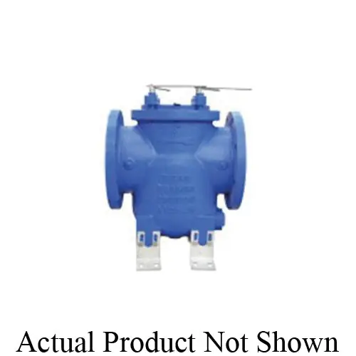 Titan BS55I1000 Simplex Basket Strainer