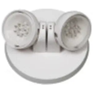AllPro APWR2 Remote LED Lamp Wet Location Double Head White