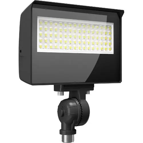 RAB Lighting X22-60 Led Flood Light - 60