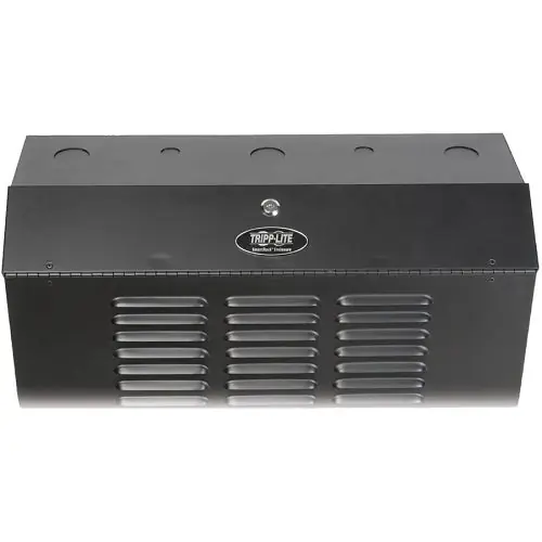 Tripp Lite SRWF6U36 SmartRack 6U Low-Profile Vertical-Mount Server-Depth Wall Mount Rack Enclosure Cabinet