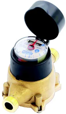 Pepco Sales & Marketing WM-1001 1 Water Meter Lead Free