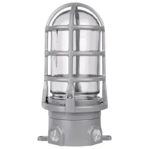 ABB VXG-11-C VXG Ceiling Mount Cross Feed (5 Tapped Holes) with glass globe and cast guard