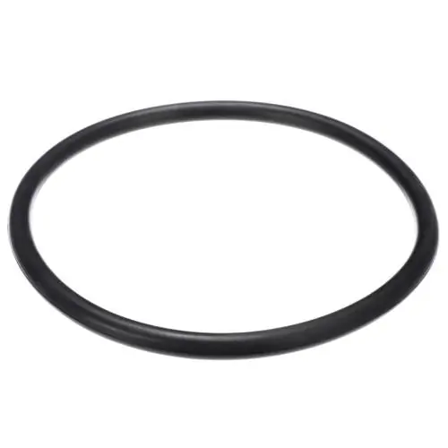 Bertazzoni Z290062 Sump Gasket