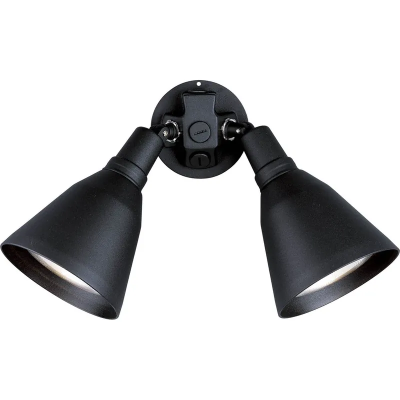 Progress P5203-31 Two-Light Adjustable Swivel Flood Light
