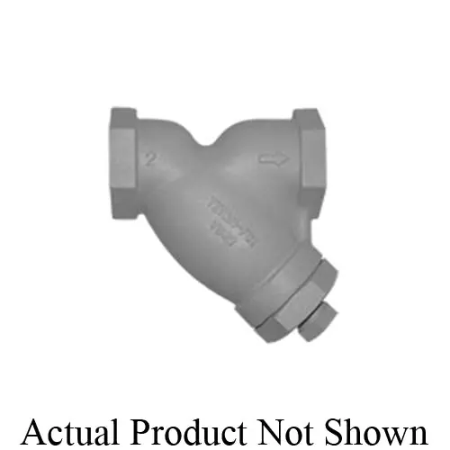 Titan YS81C0200 Wye Strainer 2 in