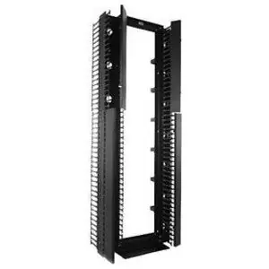 Chatsworth 14831-703 Global Vertical Cabling Section Double-Sided Wide 7 ft H x 6 W x 13.52 in D