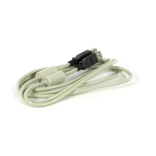 Epson 2121191 I/F Cable USB 2.0