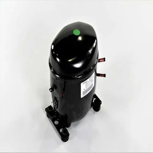 Electrolux 5304494536 Compressor EGD80HLC