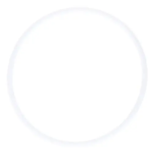 Pitco 60068303 O-Ring