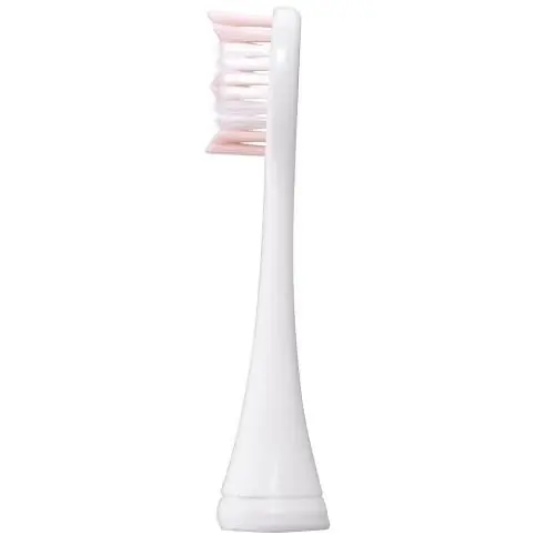 Panasonic WEW0927 Standard Size Brush Head
