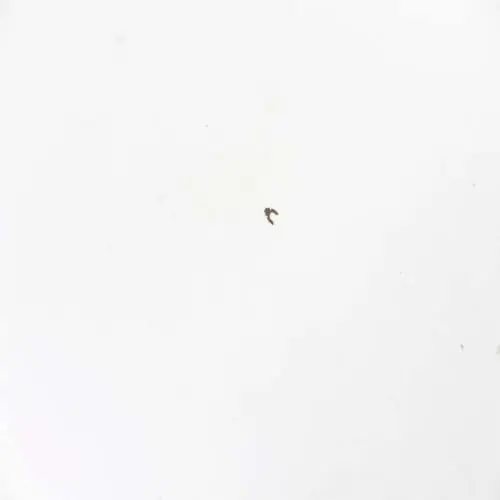 Sony 4-574-180-41 SS Adjuster Washer