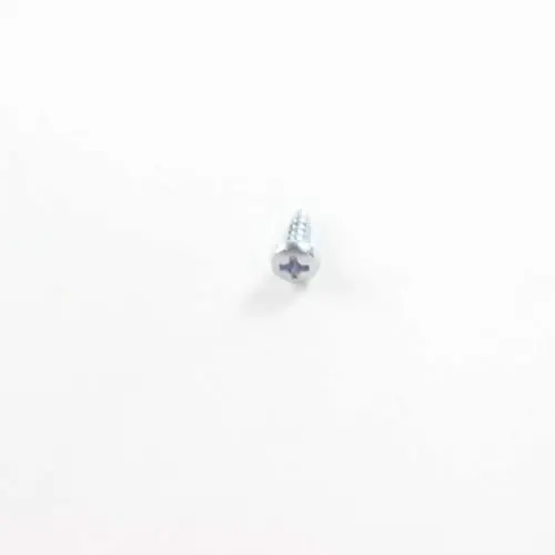 Panasonic RHD30119-L Screw