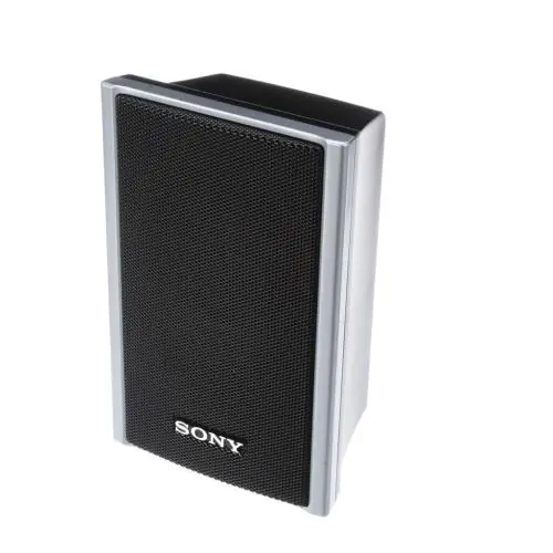 Sony A-1382-637-A Single Mounted Speaker Enclosed