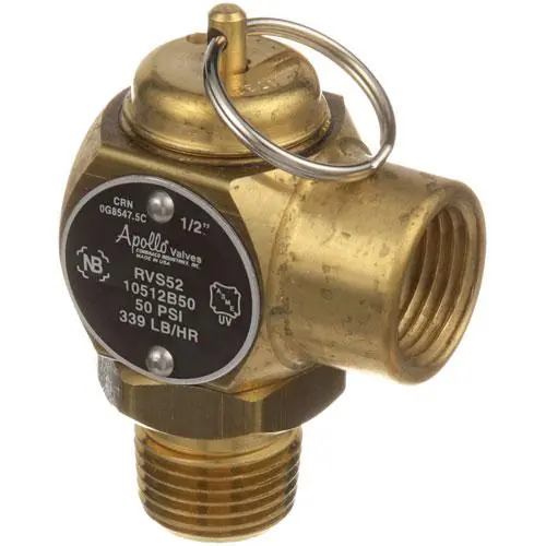 Vulcan 00-855968-00001 Safety Valve 1/2-Inch M X 1/2-I