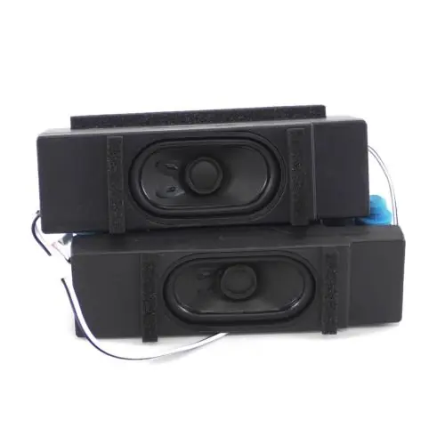 Hisense 253976 Speaker Assembly