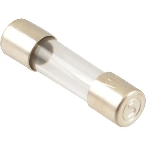 Blodgett 61613 Fuses F2 2A 2 PCS