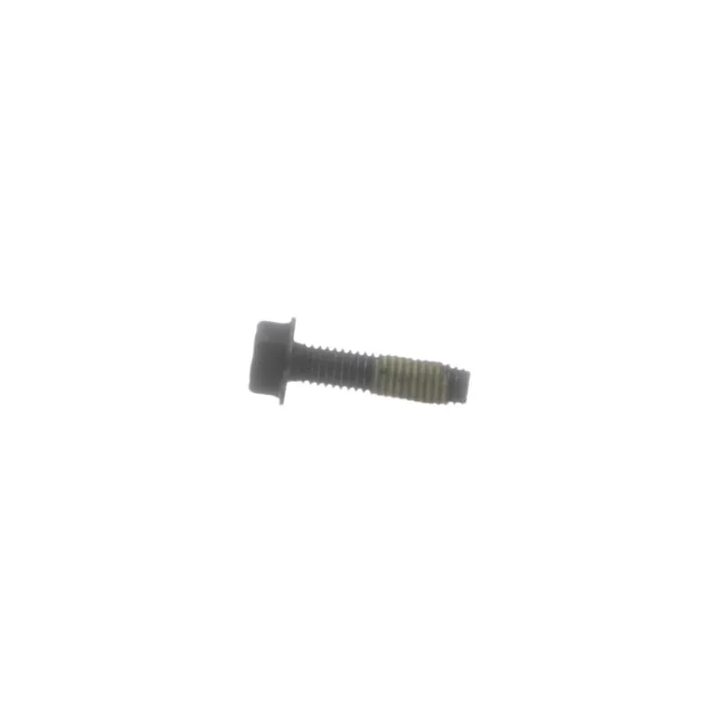 Toro 125-1073 Screw-hwh