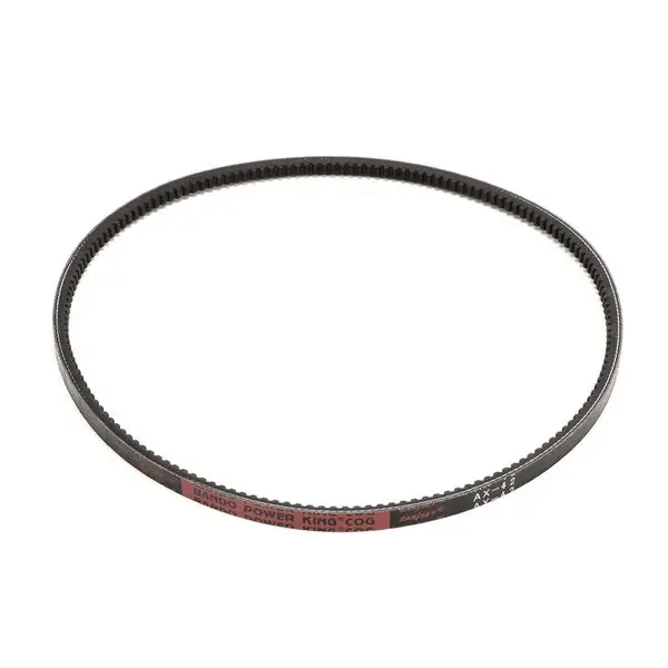 Stoelting 152323 Belt; V 41.3 Ol; Gripnotch