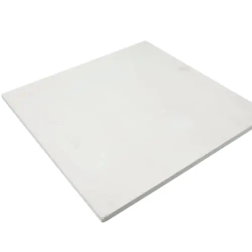 Vollrath XPOA0006 Ceramic Plate Poa7002/8002 (#2)