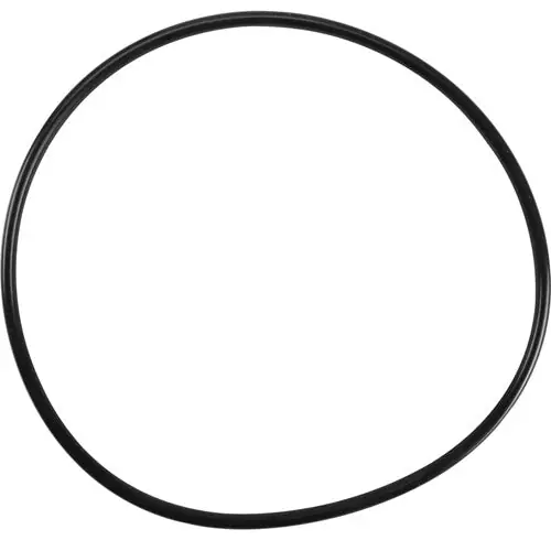 Everpure 151122 O-Ring EPDM BB UPC