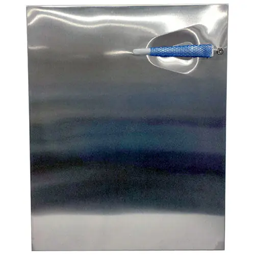 Traulsen SK-200-39300-02 Door with Snap Gasket 1/2 W A/R Line Door