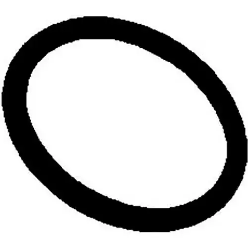Everpure 151121 Costguard O-Ring F/10 And 20 Slimline Bowl Replacement MPN