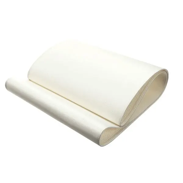 Axis 73-D034 Belt