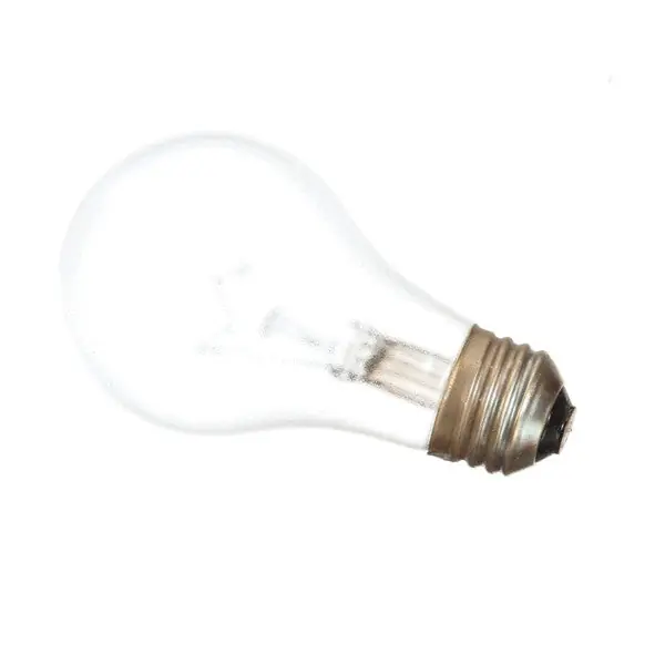Alto Shaam LP-33598 Lamp 60W 130V A19 Style Coated
