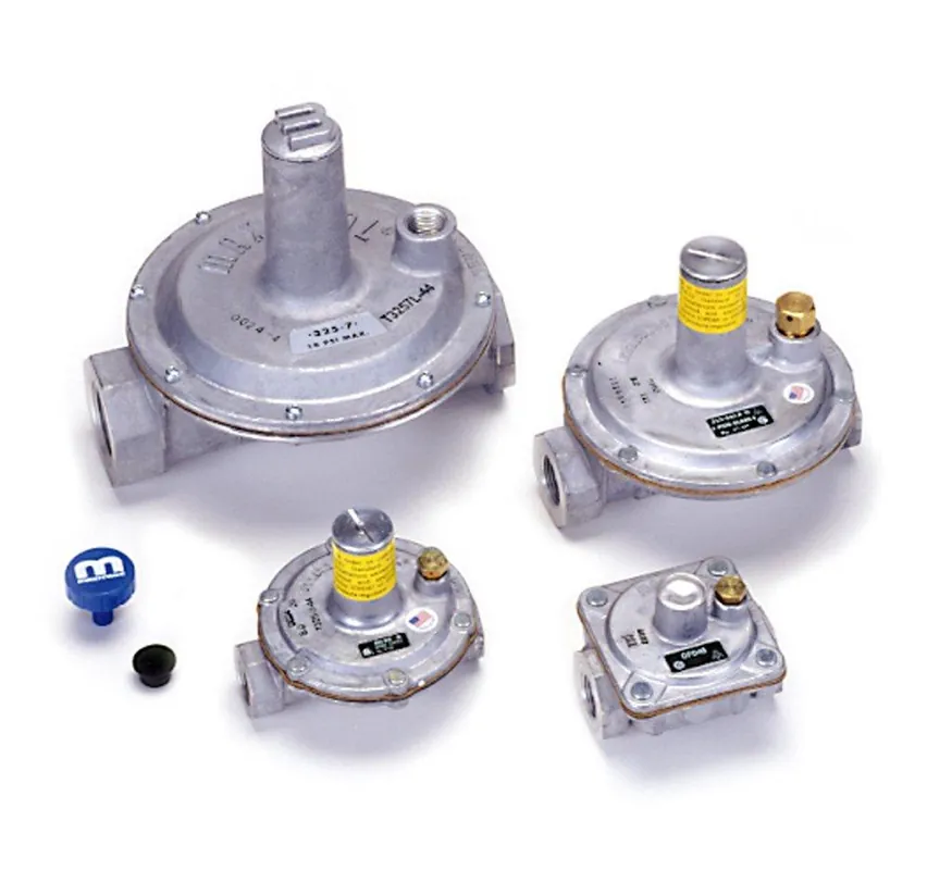 Gastite T325-5-3 1 in. NPT 2 psi Steel Pressure Regulator