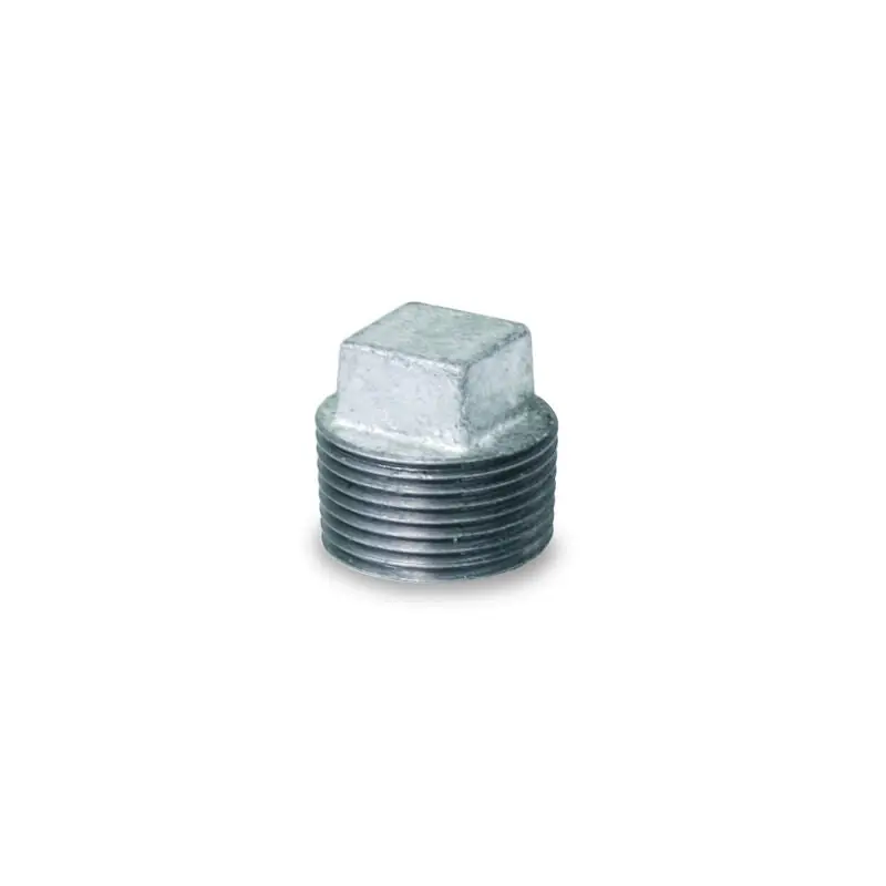 Various 0819901810 Plug Power 1/2 Pack
