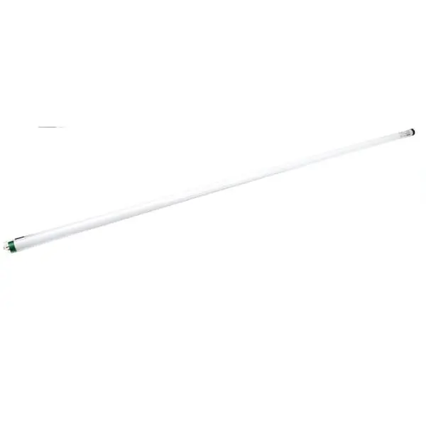 NORLAKE 146466 LAMP