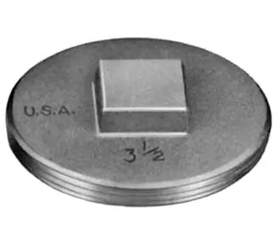 Pasco 1847 2 In. Brass Raised Head Southern Code Cleanout Plug