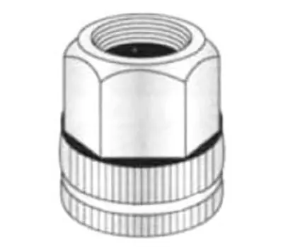 PASCO 2142 3/4 in. Female Garden Hose Adapter