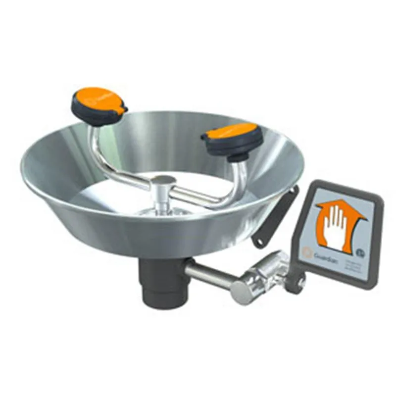 Guardian Equipment G1750 Eyewash Wall Mount Stainless Steel Bowl