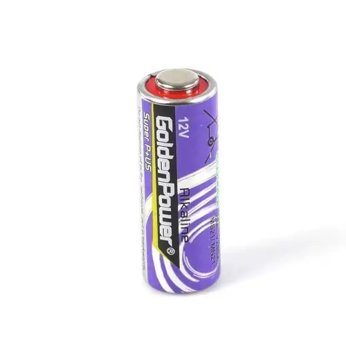 Genie 24030A.S 12 Volt Battery