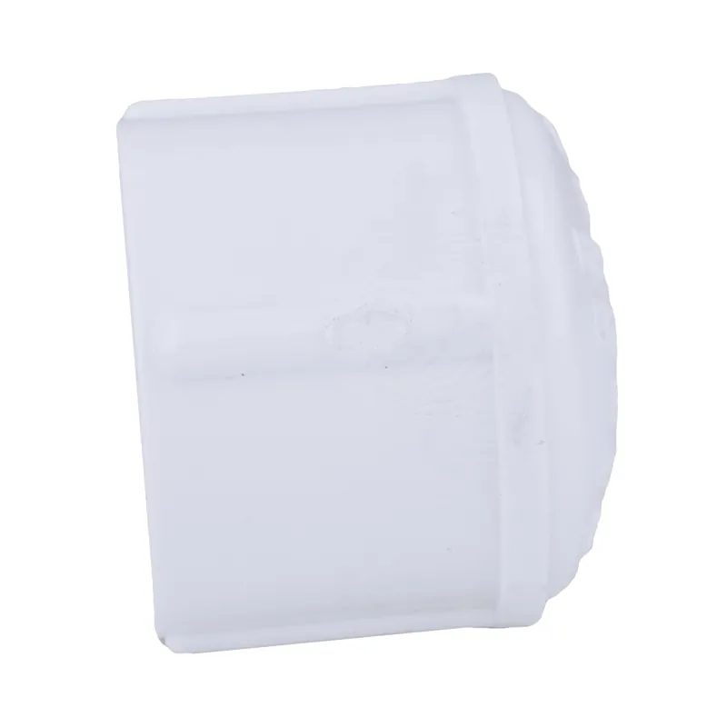 Charlotte Pipe PVC 02117 1000 3/4 in. Female PVC Cap