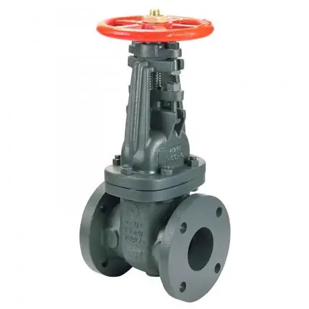 NIBCO NH24L0H F607OTS 4 FLG UL/FM GATE